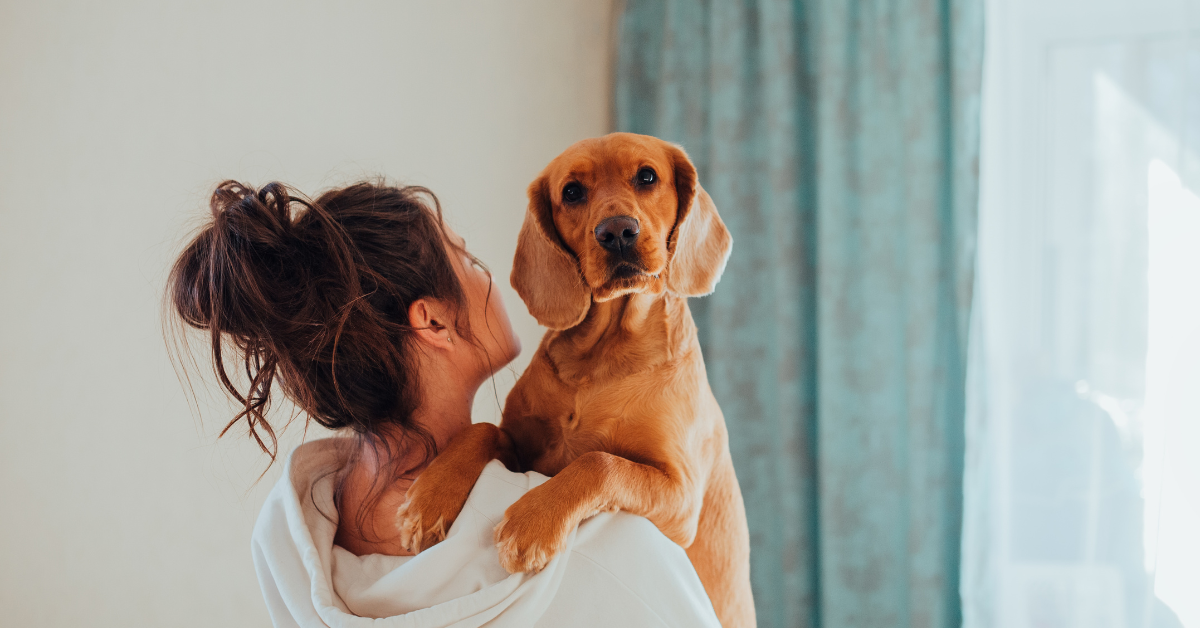 certificado soporte emocional mascotas psicologos